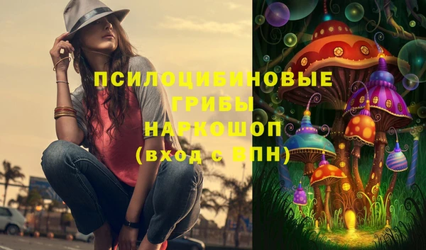 круглые Алексеевка
